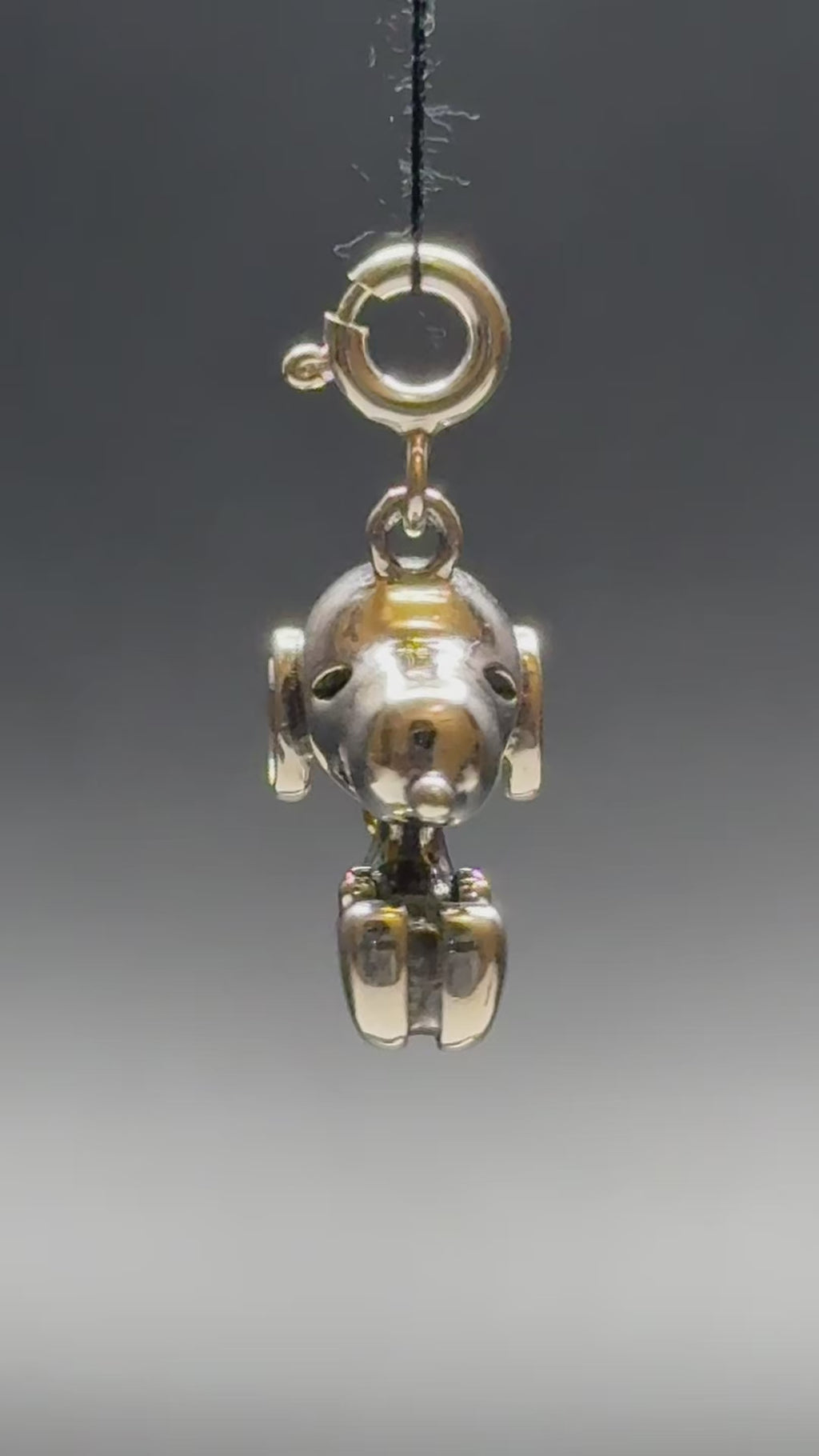 Snoopy Dog Silver Charm